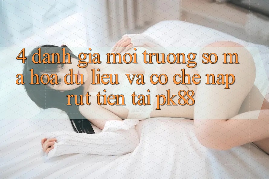 4. Đánh Giá Môi trường số Mã hóa dữ liệu Và Cơ Chế Nạp Rút Tiền Tại PK88
