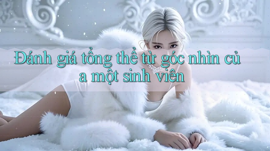Đánh giá tổng thể: Từ góc nhìn của một sinh viên Đánh giá tổng thể: Từ góc nhìn của một sinh viên