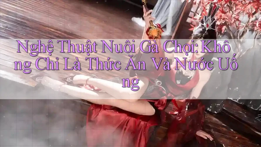 Nghệ Thuật Nuôi Gà Chọi: Không Chỉ Là Thức Ăn Và Nước Uống Nghệ Thuật Nuôi Gà Chọi: Không Chỉ Là Thức Ăn Và Nước Uống