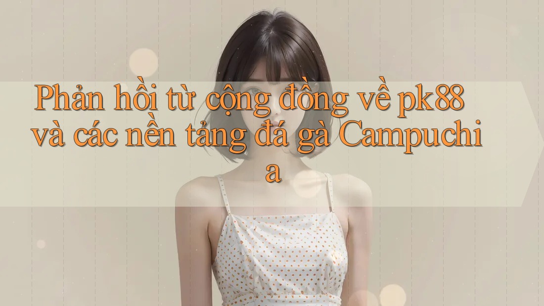 Phản hồi từ cộng đồng về pk88 và các nền tảng đá gà Campuchia Phản hồi từ cộng đồng về pk88 và các nền tảng đá gà Campuchia
