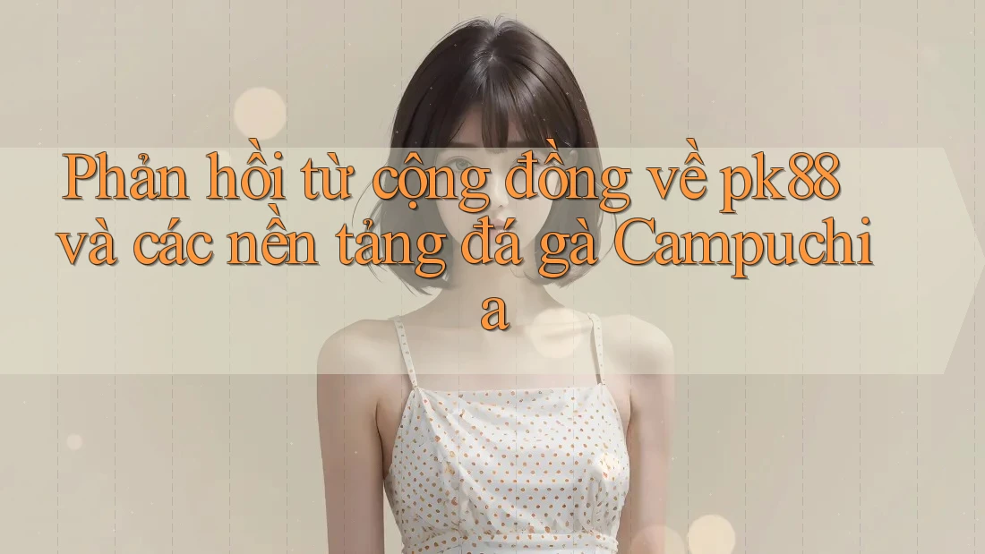 Phản hồi từ cộng đồng về pk88 và các nền tảng đá gà Campuchia