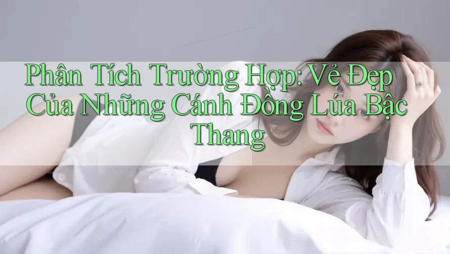 Phân Tích Trường Hợp: Vẻ Đẹp Của Những Cánh Đồng Lúa Bậc Thang