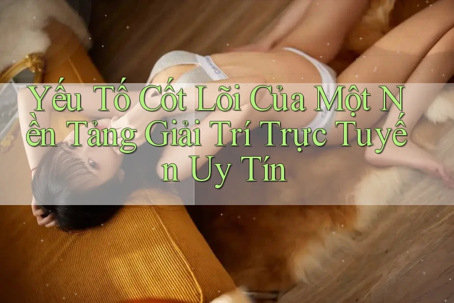 Yếu Tố Cốt Lõi Của Một Nền Tảng Giải Trí Trực Tuyến Uy Tín Yếu Tố Cốt Lõi Của Một Nền Tảng Giải Trí Trực Tuyến Uy Tín