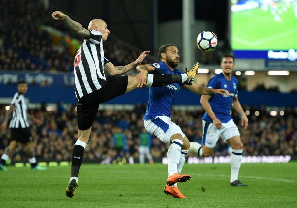 制造了绝佳 制造了绝佳