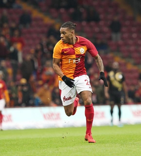 足球队的股 足球队的股